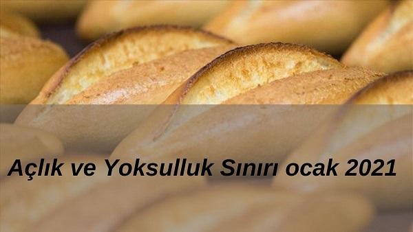 Açlık ve Yoksulluk Sınırı ocak 2021