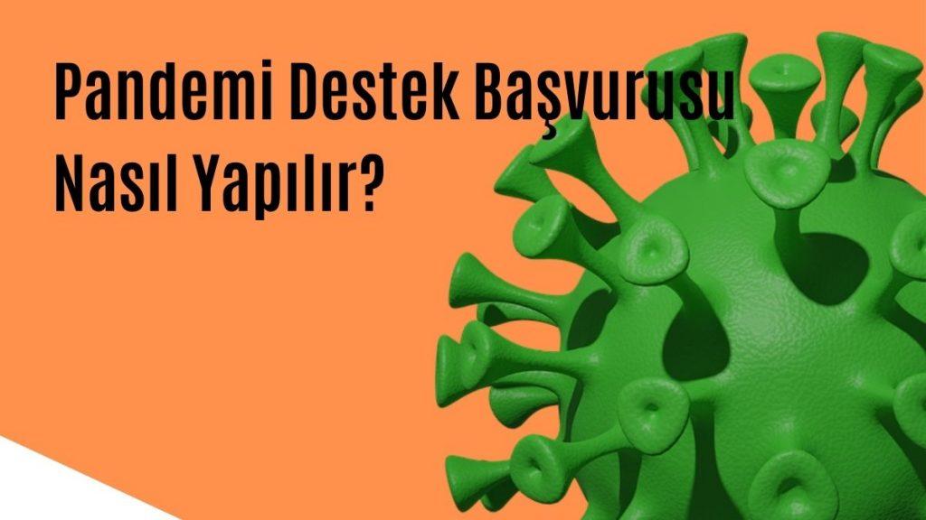 Pandemi Destek Başvurusu Nasıl Yapılır