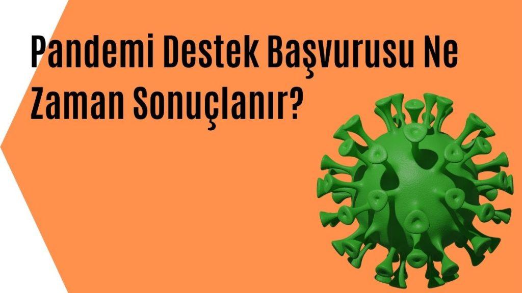 Pandemi Destek Başvurusu Ne Zaman Sonuçlanır