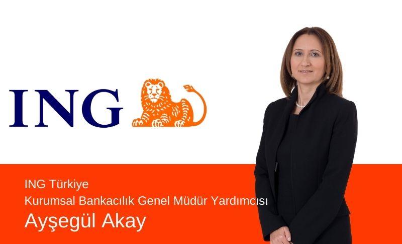 Ayşegül Akay Kimdir?